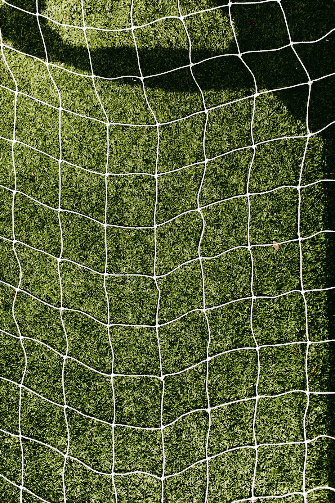 white-net-bjp-wwrmf1i